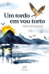 Livro Um Tordo Em Voo Torto