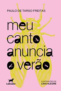 Livro Meu Canto Anuncia O Verão