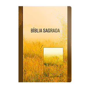 Livro Bíblia Nvi Letra Grande - Neutra