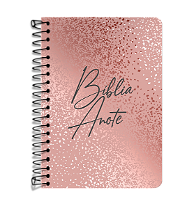 Livro Bíblia Anote Nvi Letra Grande - Púrpura
