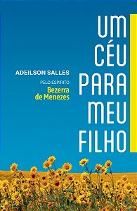 Livro Um Céu Para Meu Filho