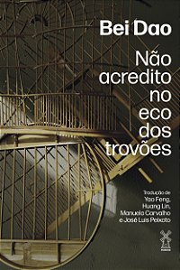 Livro Não acredito no eco dos trovões