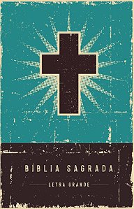 Livro Bíblia Retrô Turquesa, NVI, Capa Dura, Letra Grande...