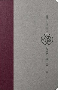 Livro Bíblia Sagrada ACF, Tecido, Vermelho e Cinza, Leitu...