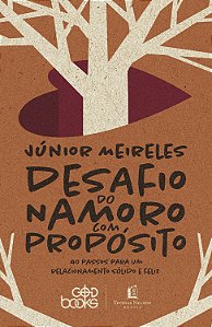 Livro Desafio Do Namoro Com Propósito (God Books)