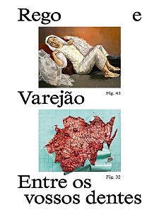 Livro Entre Os Vossos Dentes