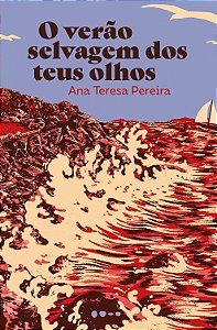 Livro O verão selvagem dos teus olhos