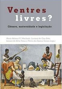 Livro Ventres livres?: Gênero, maternidade e legislação