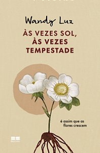 Livro Às Vezes Sol, Às Vezes Tempestade - É Assim Que As ...