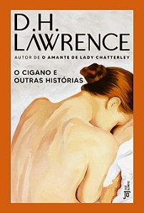 Livro O cigano e outras histórias