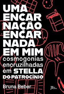 Livro Uma encarnação encarnada em mim