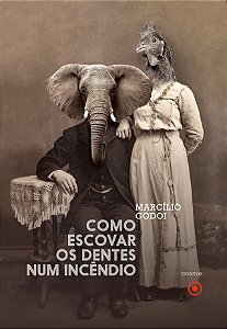 Livro Como Escovar Os Dentes Num Incêndio