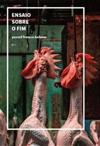 Livro Ensaio Sobre O Fim
