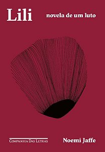 Livro Lili: Novela de um luto