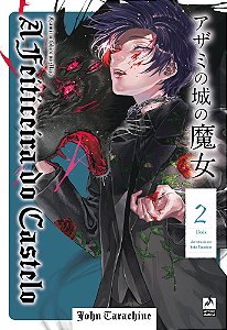 Livro A feiticeira do castelo 2 (Volume 2)