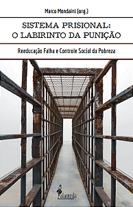 Livro O sistema prisional: o labirinto da punição: reeduc...