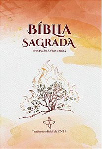 Livro Biblia Sagrada - Iniciação a vida cristã: novo design