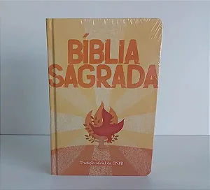 Livro Biblia Sagrada - Capa Laranja - Jovem