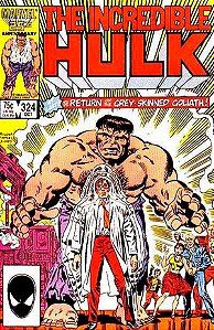 Livro Hulk: De Volta ao Cinza (Marvel Vintage)