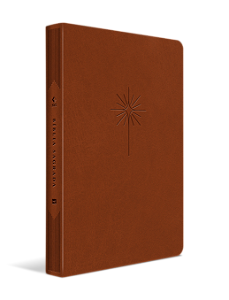 Livro Bíblia NVT - Filament - Marrom, luxo couro sintétic...