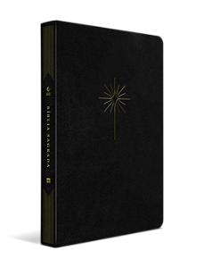 Livro Bíblia NVT - Filament - Preta, luxo couro sintético...