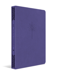 Livro Bíblia NVT - Filament - Lilás, luxo couro sintético...