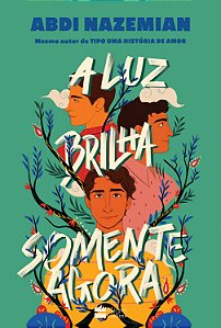 Livro A luz brilha somente agora