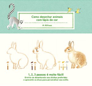 Livro Como Desenhar Animais Com Lápis De Cor