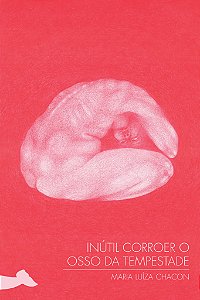 Livro Inútil Corroer O Osso Da Tempestade