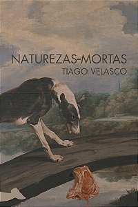 Livro Naturezas-Mortas