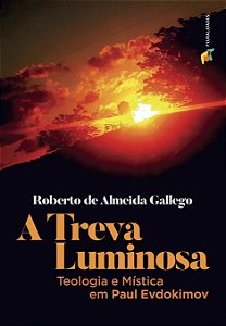 Livro A Treva Luminosa - Roberto De Almeida Gallego