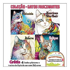 Livro Coleção - Gatos Fascinantes