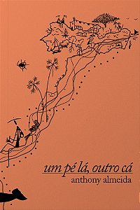 Livro Um Pé Lá, Outro Cá