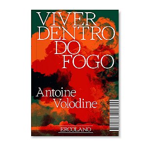 Livro Viver Dentro Do Fogo