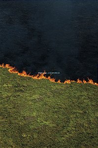 Livro Pantanal