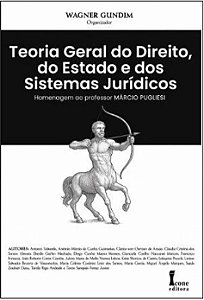 Livro Teoria Geral Do Direito, Do Estado E Dos Sistemas Jurídic...
