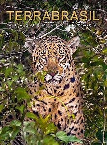 Livro TerraBrasil