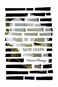 Livro Rosie Carpe