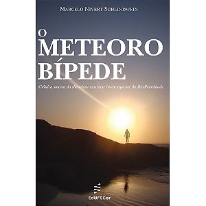 Livro O Meteoro Bípede: Crônica Sonora Do Silencioso Mass...
