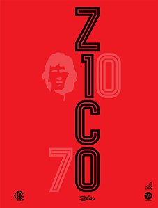 Livro Zico 70