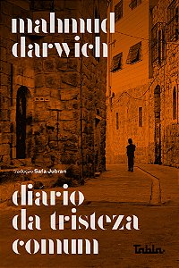 Livro Diário da tristeza comum