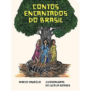 Livro Contos encantados do Brasil