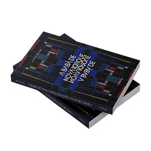 Livro A Babá De Nova Iorque
