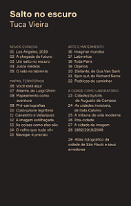 Livro Salto no escuro: leituras do espaço contemporâneo