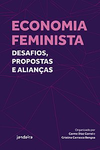 Livro Economia feminista: desafios, propostas e alianças