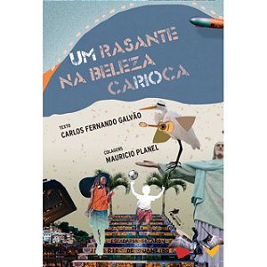 Livro Um Rasante Na Beleza Carioca