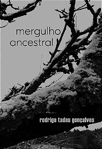 Livro Mergulho ancestral