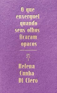 Livro O Que Enxerguei Quando Seus Olhos Ficaram Opacos