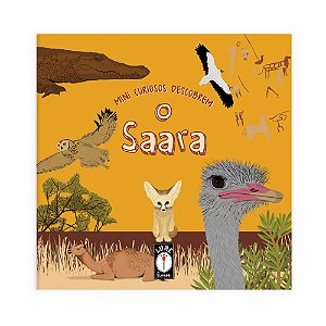 Livro Mini Curiosos Descobrem O Saara