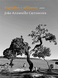 Livro Espinhos e alfinetes